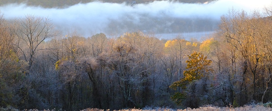 2018valleyfog