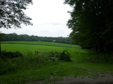 The Douglas Preserve
