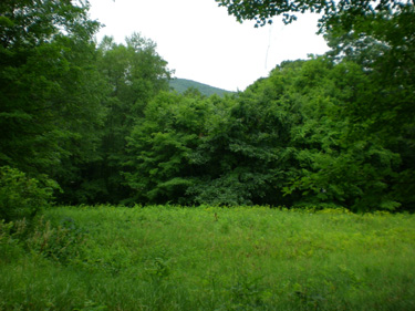 The Graham Brush Preserve
