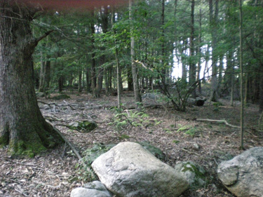 The Perry Preserve
